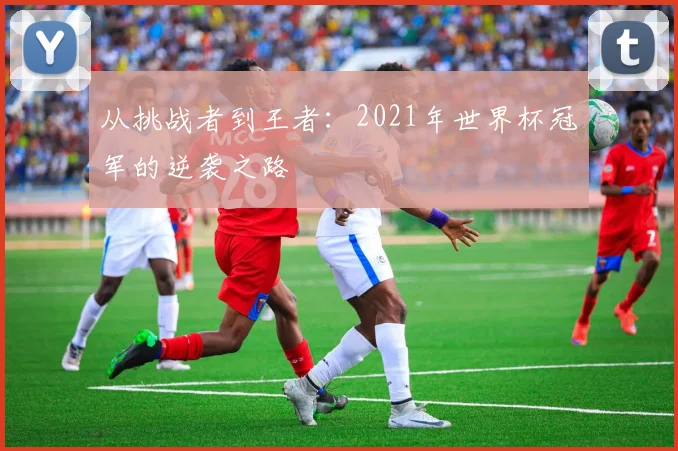 从挑战者到王者：2021年世界杯冠军的逆袭之路