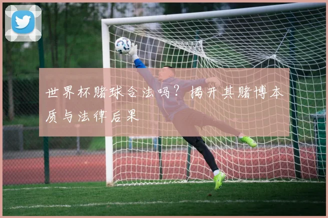 世界杯赌球合法吗?揭开其赌博本质与法律后果