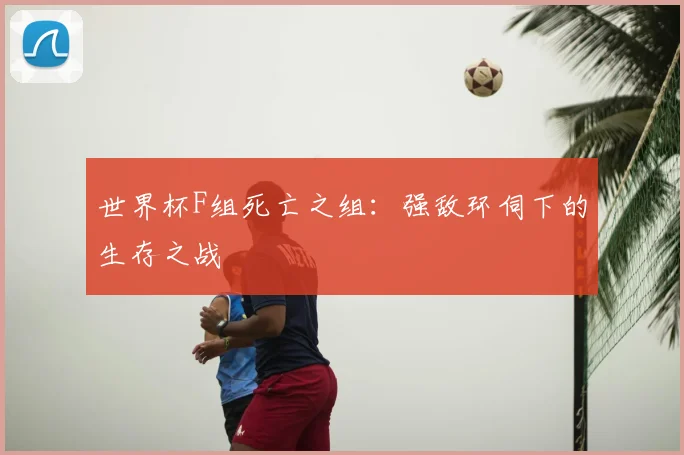 世界杯F组死亡之组：强敌环伺下的生存之战