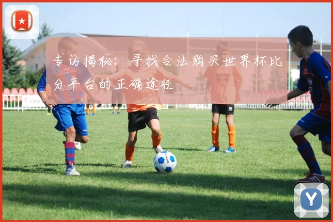 专访揭秘：寻找合法购买世界杯比分平台的正确途径