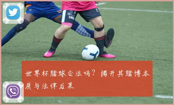 世界杯赌球合法吗?揭开其赌博本质与法律后果