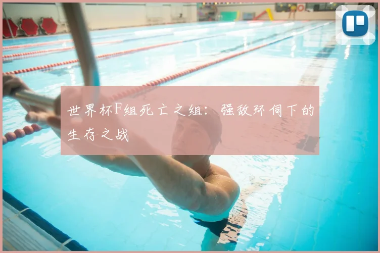 世界杯F组死亡之组：强敌环伺下的生存之战
