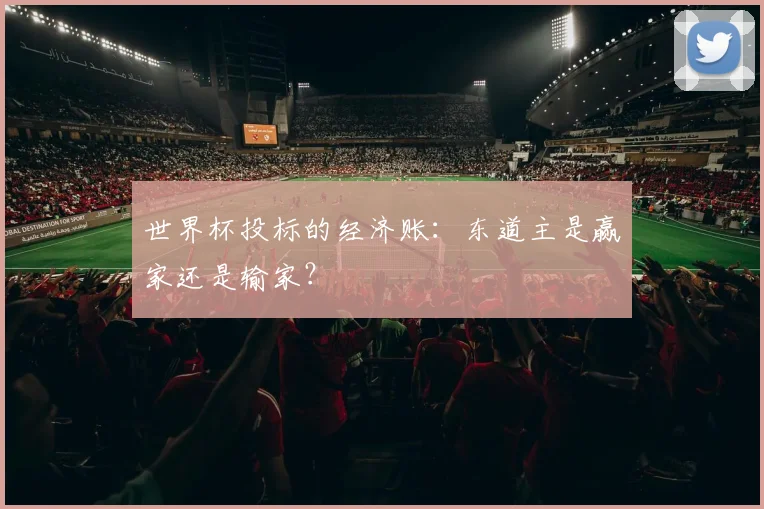 世界杯投标的经济账：东道主是赢家还是输家？