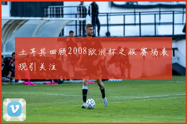 土耳其回顾2008欧洲杯之旅 赛场表现引关注