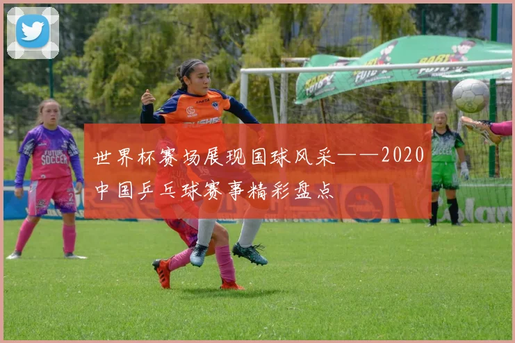 世界杯赛场展现国球风采——2020中国乒乓球赛事精彩盘点
