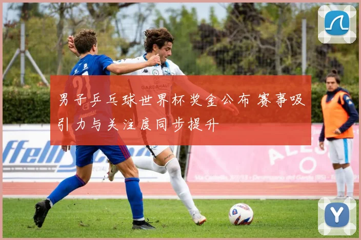 男子乒乓球世界杯奖金公布 赛事吸引力与关注度同步提升