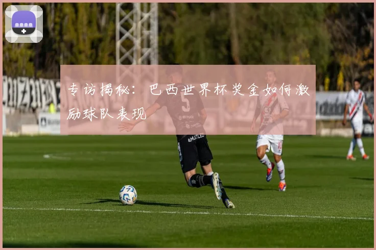 专访揭秘:巴西世界杯奖金如何激励球队表现