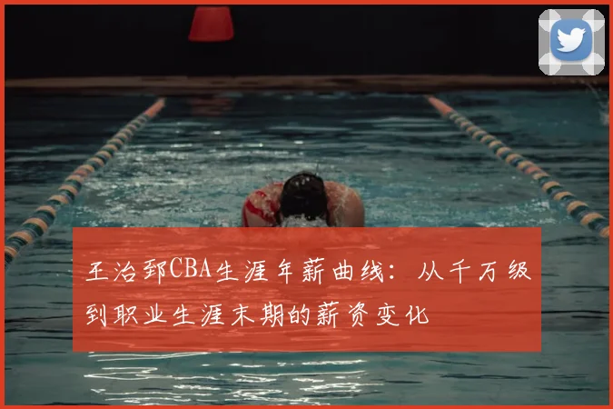王治郅CBA生涯年薪曲线:从千万级到职业生涯末期的薪资变化