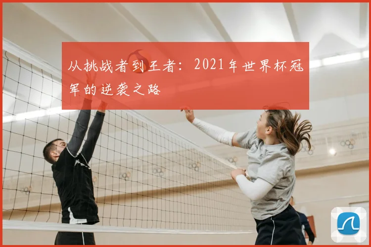 从挑战者到王者：2021年世界杯冠军的逆袭之路