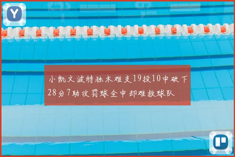 小凯文波特独木难支19投10中砍下28分7助攻罚球全中却难救球队