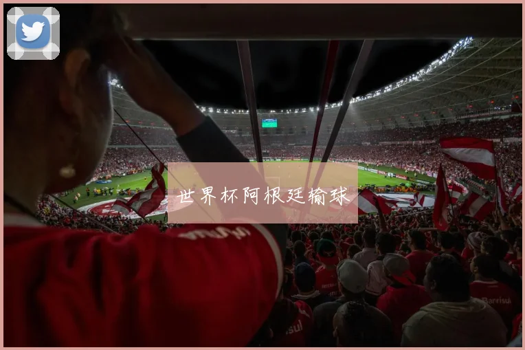 世界杯阿根廷输球