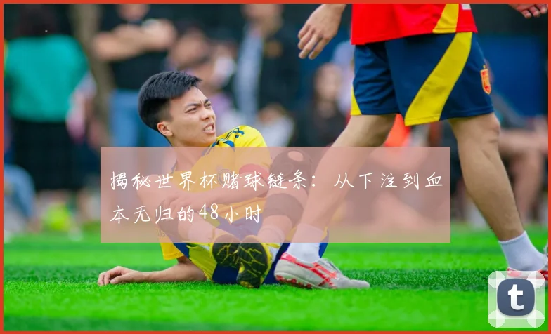 揭秘世界杯赌球链条：从下注到血本无归的48小时