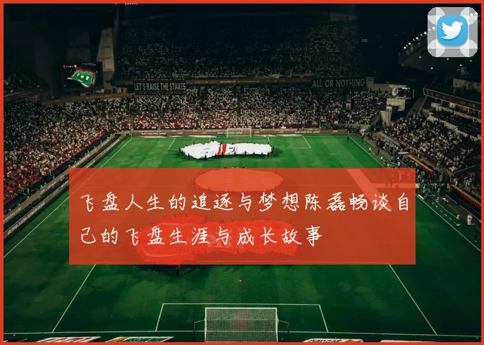 飞盘人生的追逐与梦想陈磊畅谈自己的飞盘生涯与成长故事