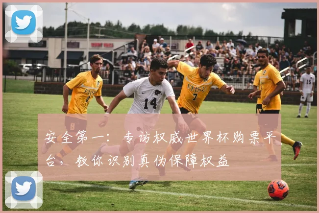 安全第一：专访权威世界杯购票平台，教你识别真伪保障权益