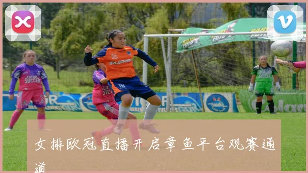 女排欧冠直播开启章鱼平台观赛通道
